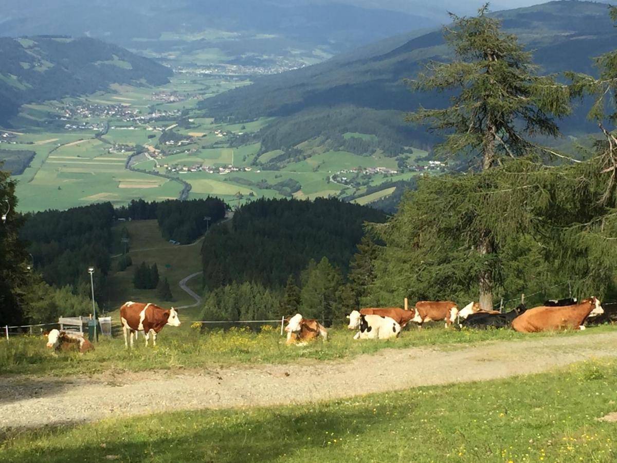 Landhaus Lungau Sankt Michael im Lungau Extérieur photo